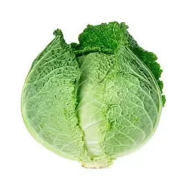 Chou vert frisé